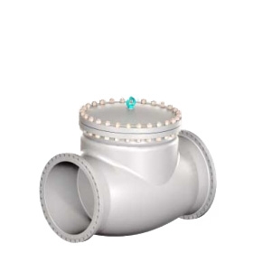 Swing Check Valve